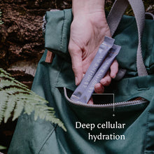 Load image into Gallery viewer, true hydration sachets