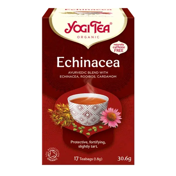 echinacea - yahra