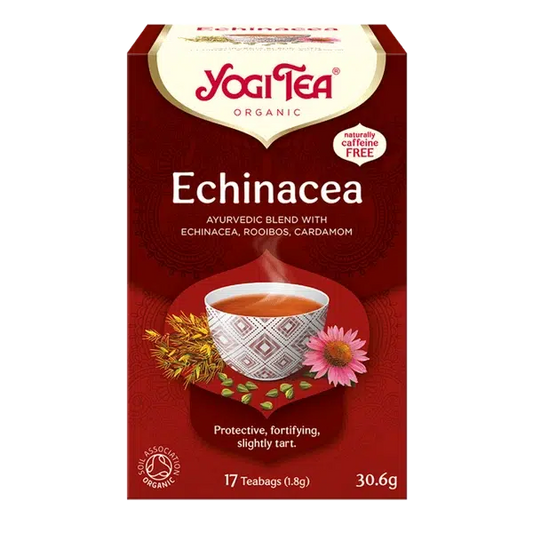 echinacea - yahra
