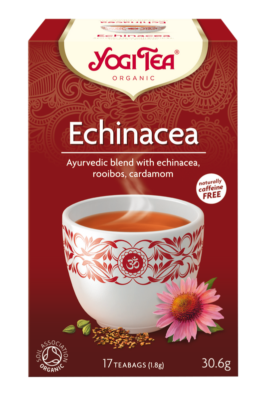 echinacea - yahra