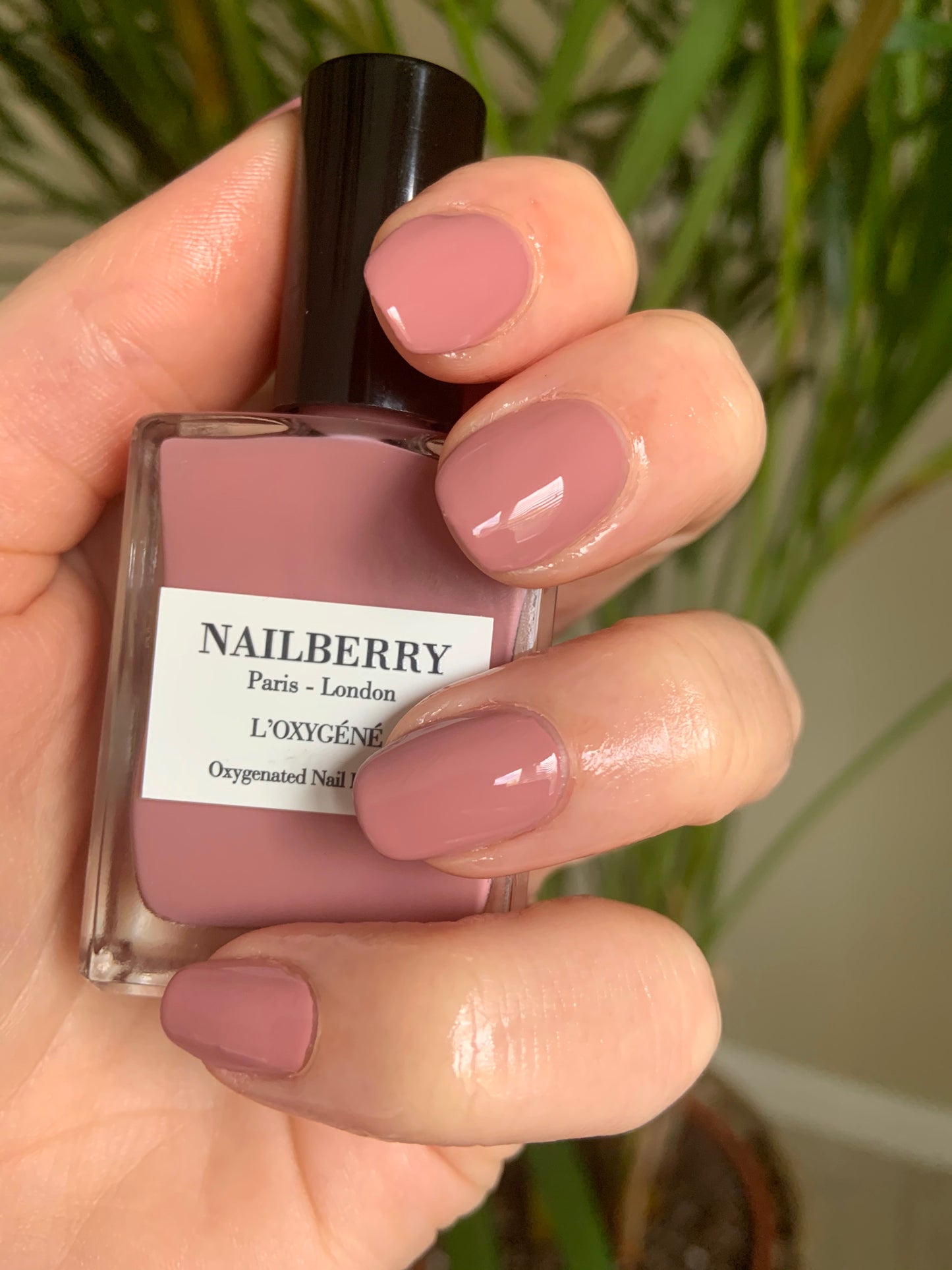 love me tender - yahra